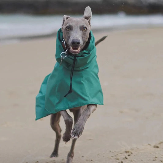 Raincoat for Dogs Comfortable and Breathable Puppy Raincoat Waterproof Dogs Clothes Spring and Autumn Outing Pet Supplies