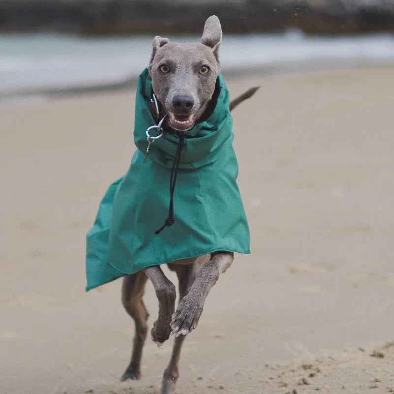 Raincoat for Dogs Comfortable and Breathable Puppy Raincoat Waterproof Dogs Clothes Spring and Autumn Outing Pet Supplies