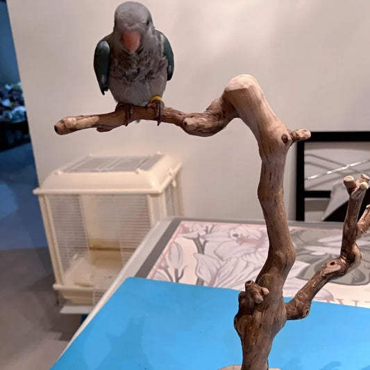 Zen Grapevine Bird Perch - Natural Dead Branch Tree Trunk Stand for Parrot habitat Jewelry, Solid Wood Home Decor Ornament