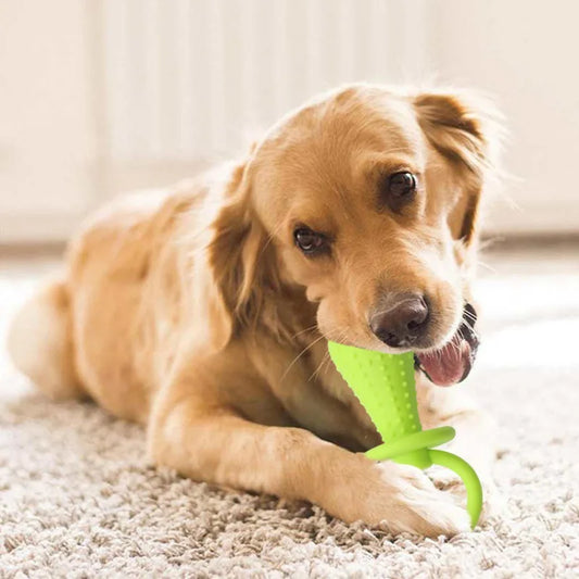 Dog Toys For Small Dogs Indestructible Dog Toy Teeth Cleaning Chew Training Toys Pet Supplies