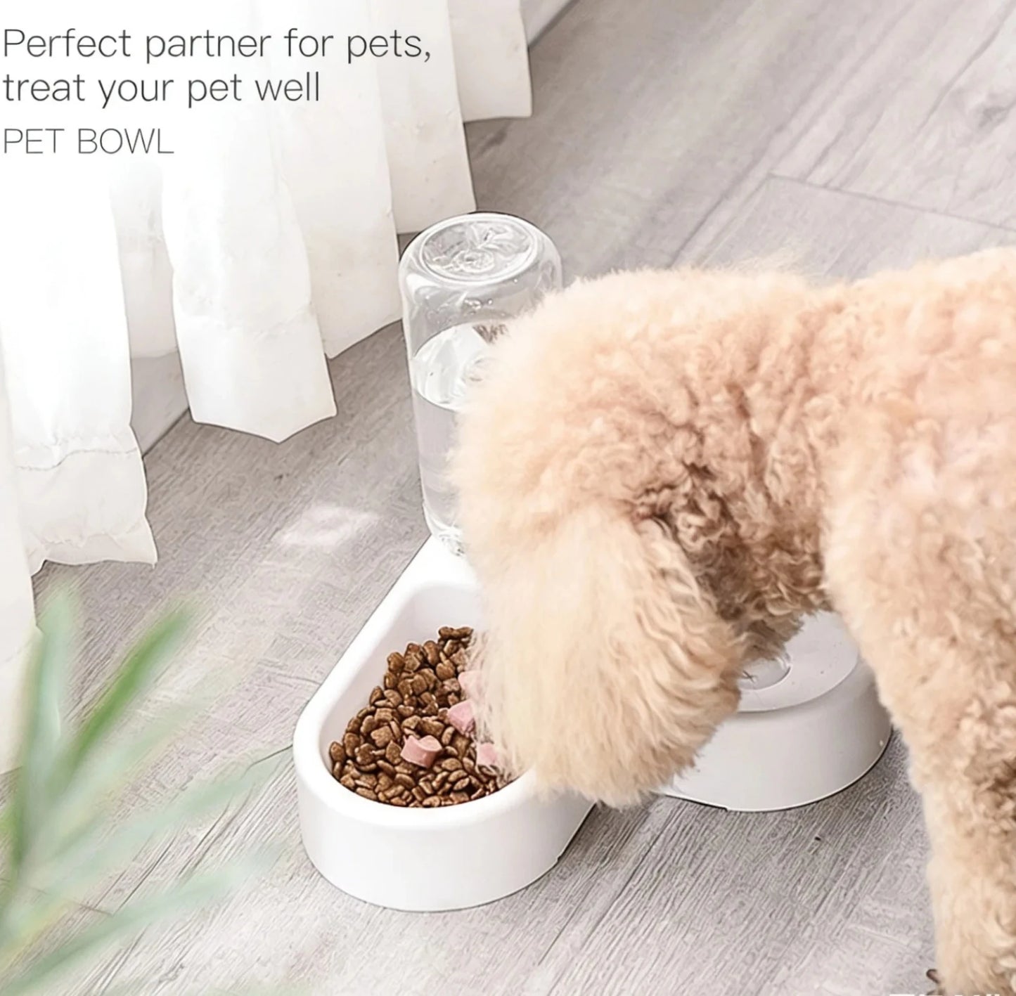 Double Dog and Cat Bowl-Pet and Food Bowl Set with, Pet Feeding Bowl Suitable for Cats and Small Dogs