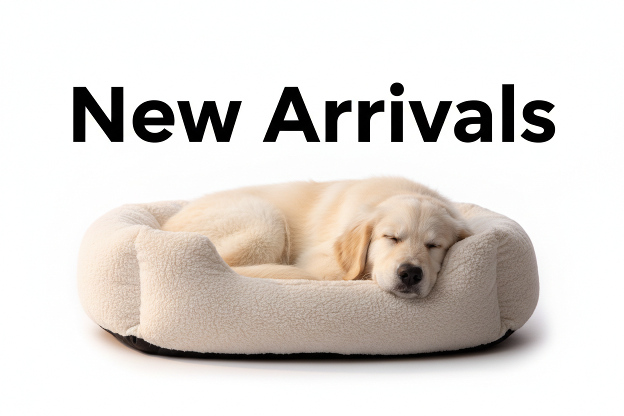 New Arrivals