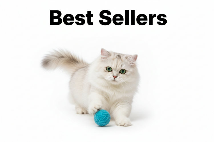 Best Sellers