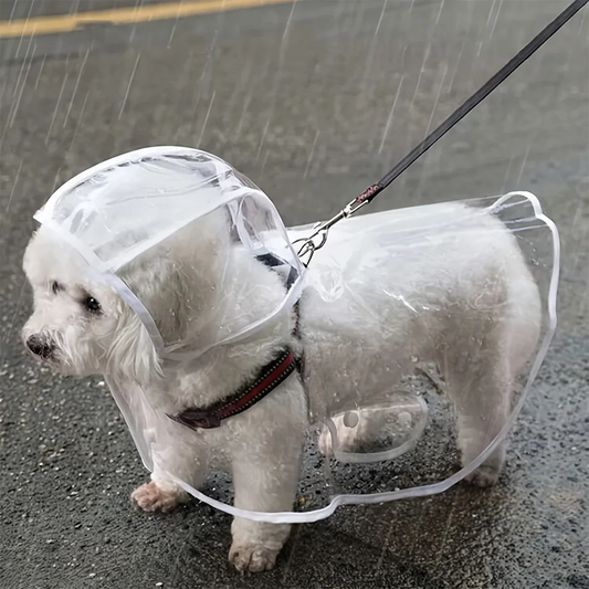 Transparent Waterproof Dog Raincoat, Raincoat for Small and Medium-Sized Dogs, Teddy and Bichon Frise Dog for Rainy Days Walking