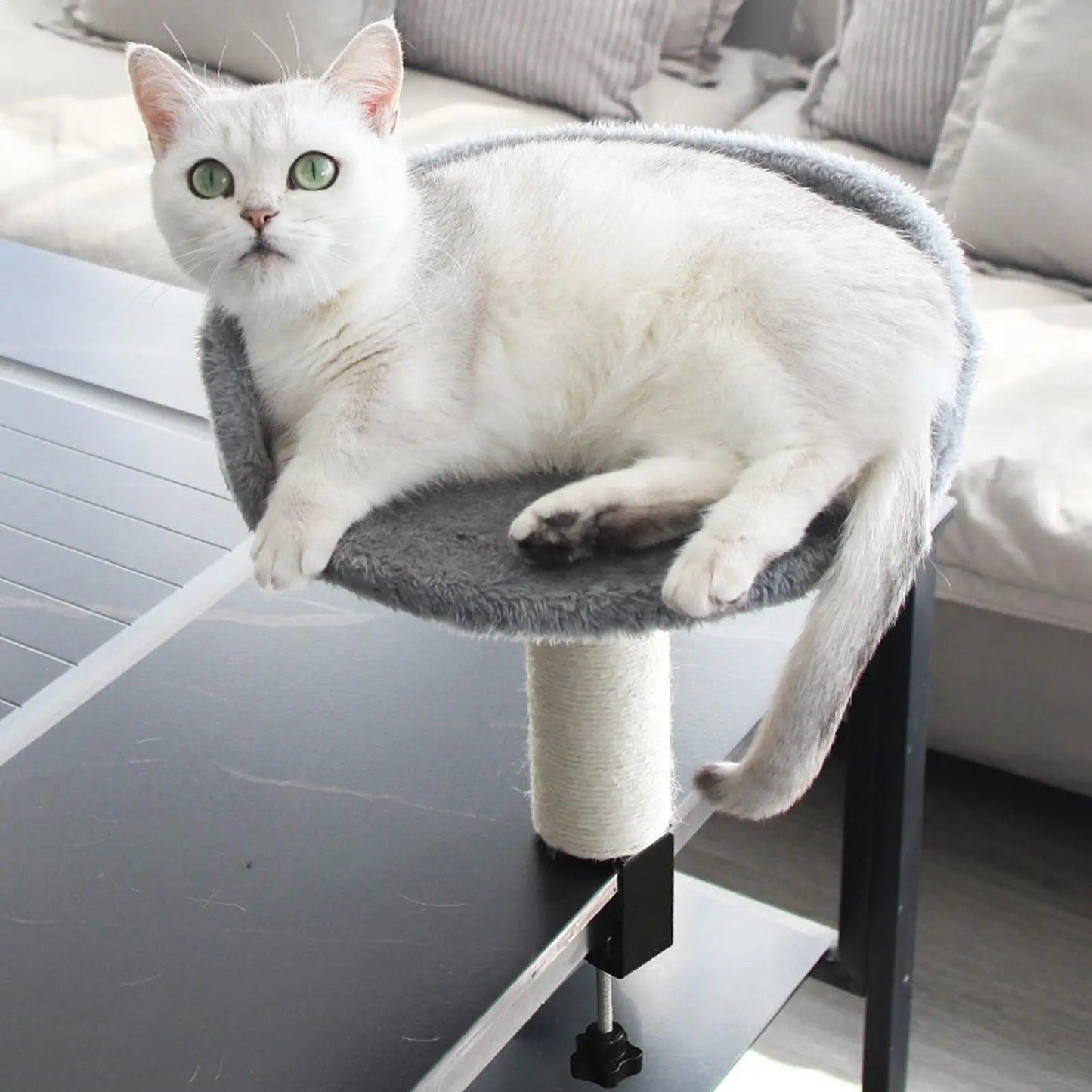 Cat Hammock Perch Desk Clamp Cat Bed With Soft Pad Removable Pet Nest Attachment For Office & Home Space-Saving Pet Cat Bed