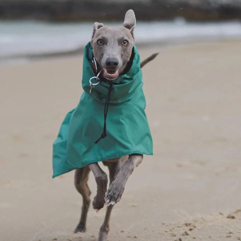 Raincoat for Dogs Comfortable and Breathable Puppy Raincoat Waterproof Dogs Clothes Spring and Autumn Outing Pet Supplies