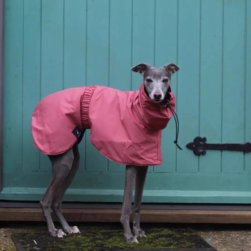 Raincoat for Dogs Comfortable and Breathable Puppy Raincoat Waterproof Dogs Clothes Spring and Autumn Outing Pet Supplies