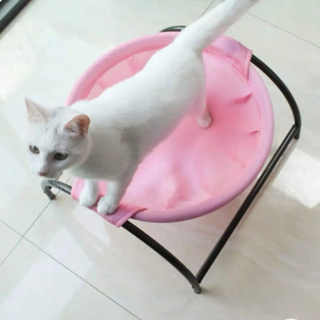 Cat Dog Bed Pet Hammock Bed Free-Standing Cat Sleeping Cat Bed Pet Supplies Whole Wash Detachable Easy Assembly Indoors Outdoors