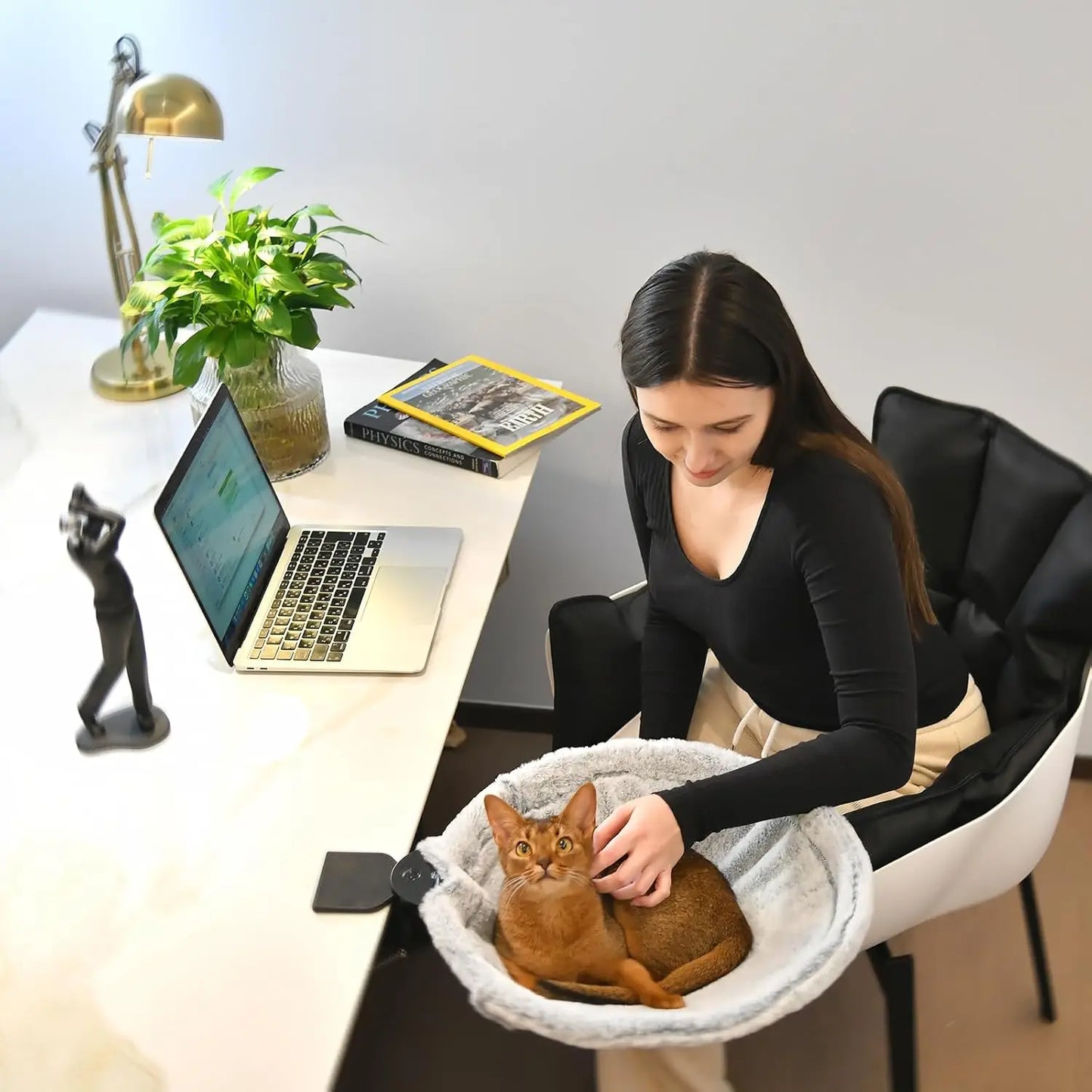 Cat Desk Bed, A layer Desk Cats Perch,Cat Cave Bed Large,Steel Frame,15 inch,Load 50 LBS,Comfortable Pet Bed,Ultra-Soft Fabric