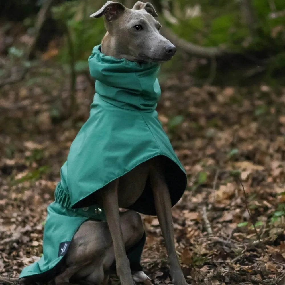 Raincoat for Dogs Comfortable and Breathable Puppy Raincoat Waterproof Dogs Clothes Spring and Autumn Outing Pet Supplies