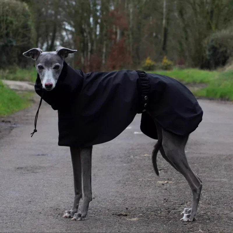 Raincoat for Dogs Comfortable and Breathable Puppy Raincoat Waterproof Dogs Clothes Spring and Autumn Outing Pet Supplies