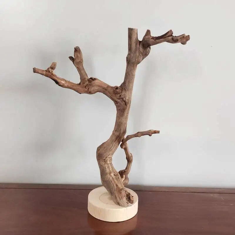 Zen Grapevine Bird Perch - Natural Dead Branch Tree Trunk Stand for Parrot habitat Jewelry, Solid Wood Home Decor Ornament