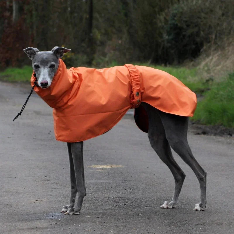 Raincoat for Dogs Comfortable and Breathable Puppy Raincoat Waterproof Dogs Clothes Spring and Autumn Outing Pet Supplies