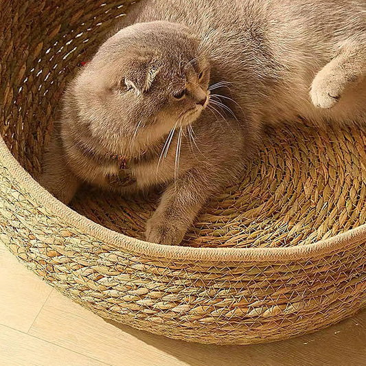 Cat Basket Bed Cotton Rope Woven Cat Bed with Pillow and Cushion All Season Indoor Weaving Pet Resting Scratching Sleeping