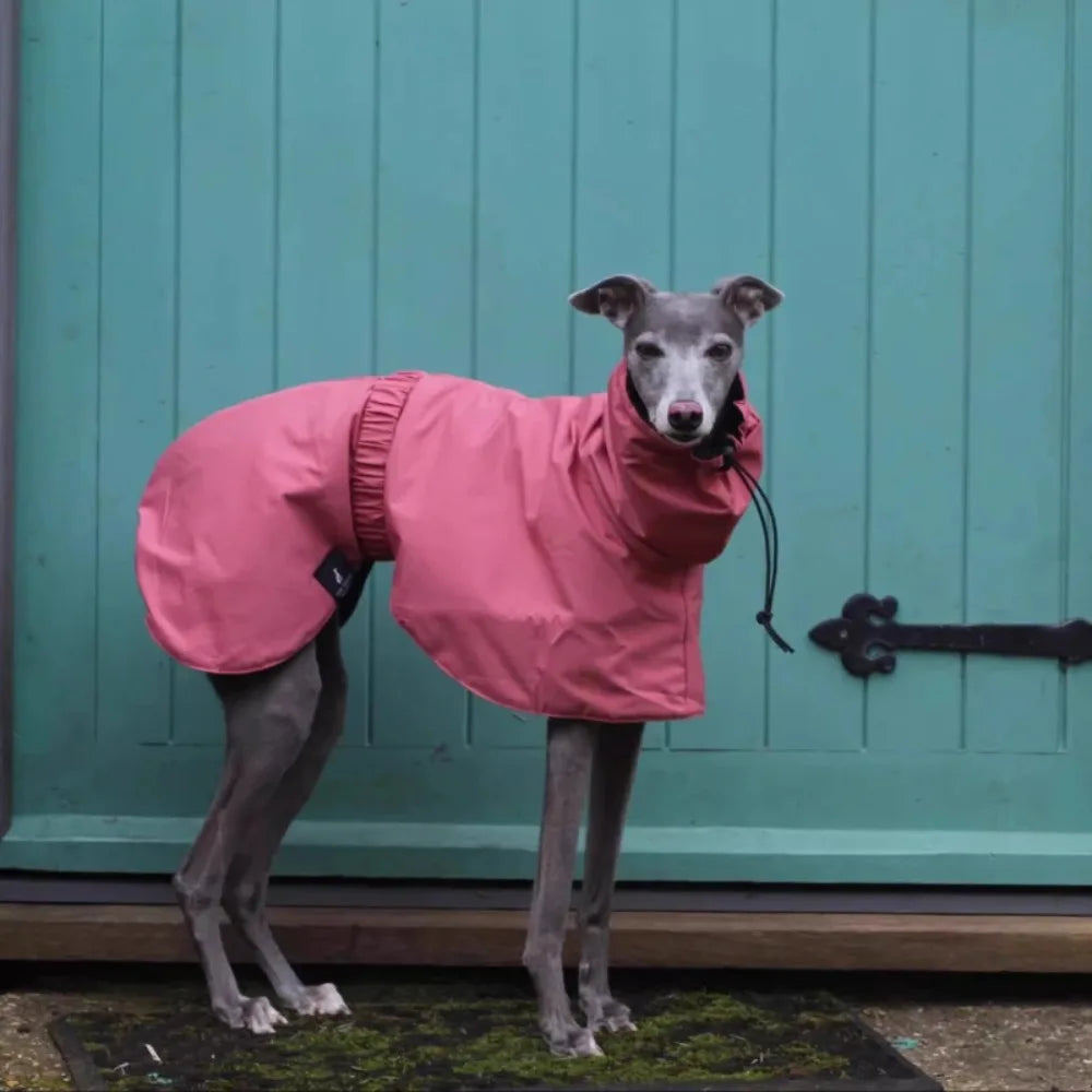 Raincoat for Dogs Comfortable and Breathable Puppy Raincoat Waterproof Dogs Clothes Spring and Autumn Outing Pet Supplies