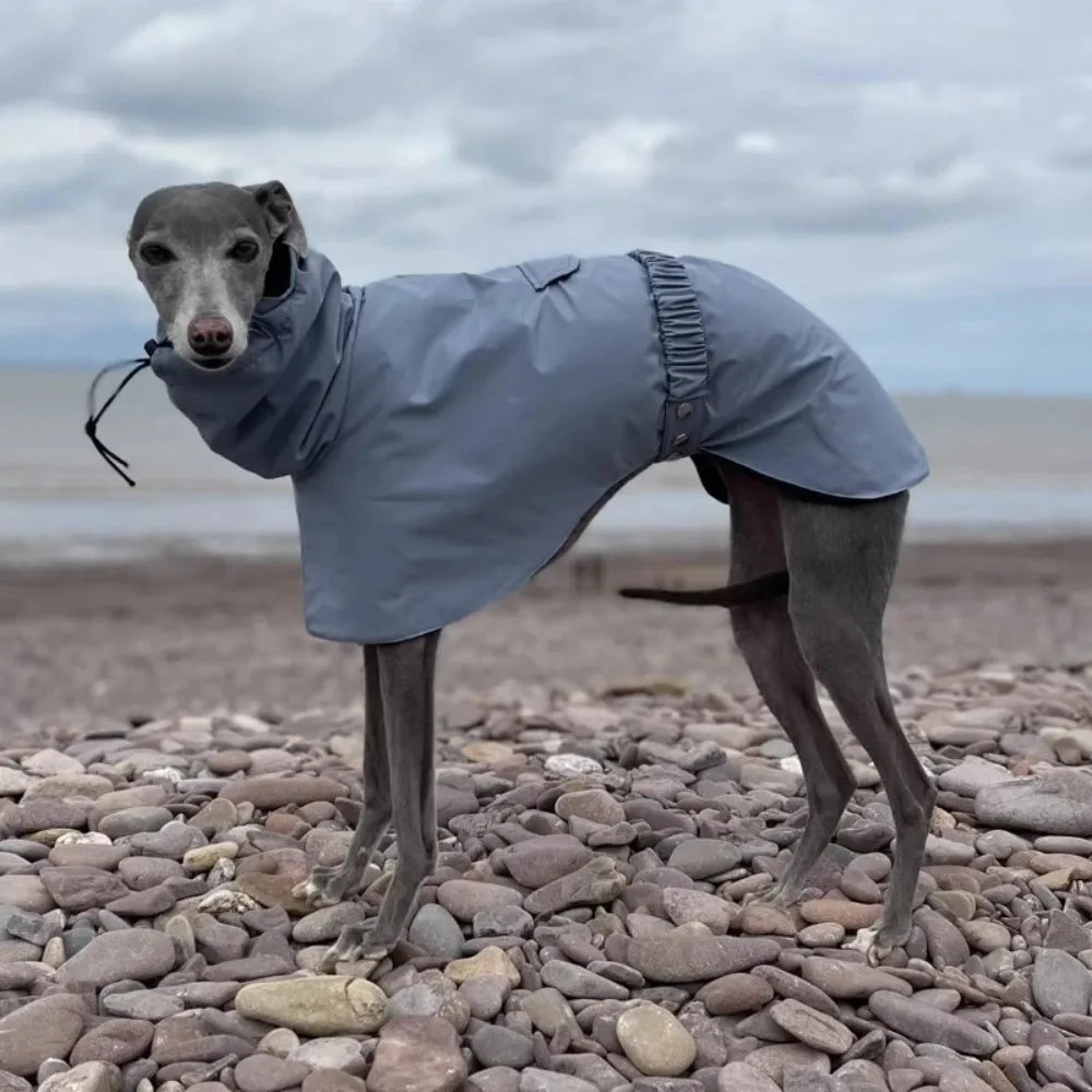 Raincoat for Dogs Comfortable and Breathable Puppy Raincoat Waterproof Dogs Clothes Spring and Autumn Outing Pet Supplies