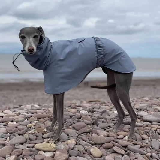 Raincoat for Dogs Comfortable and Breathable Puppy Raincoat Waterproof Dogs Clothes Spring and Autumn Outing Pet Supplies
